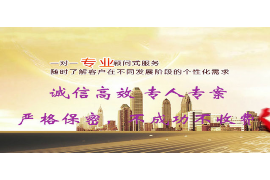 委托书讨债模板：高效解决债务纠纷的利器